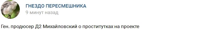 Михайловский оправдывает проектных проституток