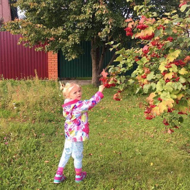 Фотоподборка детей участников (17.09.2016)