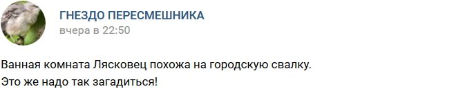 Мнение: Ванная комната Лясковец похожа на городскую свалку!