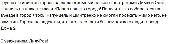 Активисты из Владивостока решили наказать Рапунцель и Дмитренко