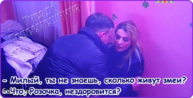 Приколы о Дом-2 (6.12.2016)