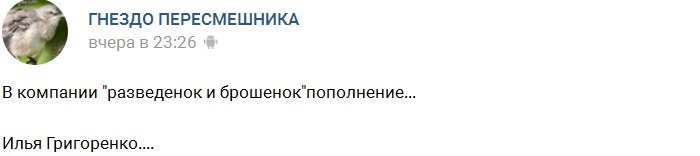 Провинившийся Григоренко просит прощения у Ашмариной