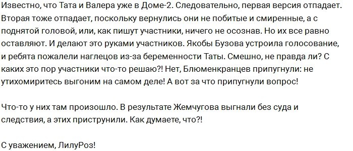 За что с проекта убрали Жемчугова и Блюменкранца?