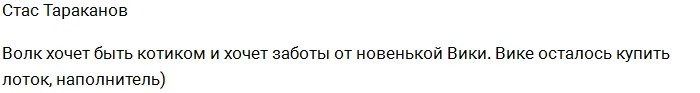 Тараканов: Ради Вики волк хочет стать котиком