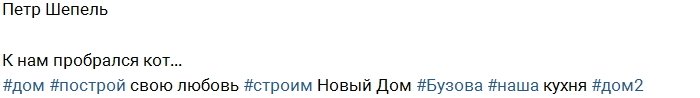 Тараканов: Ради Вики волк хочет стать котиком