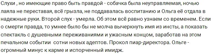 Фанаты волнуются за судьбу питомца Ольги Бузовой