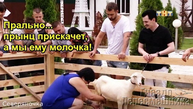 Приколы о Дом-2 (11.08.2017)