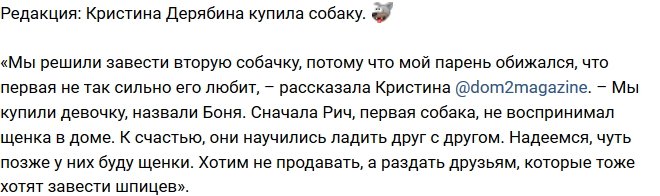 Из блога Редакции: Кристина Дерябина завела собаку
