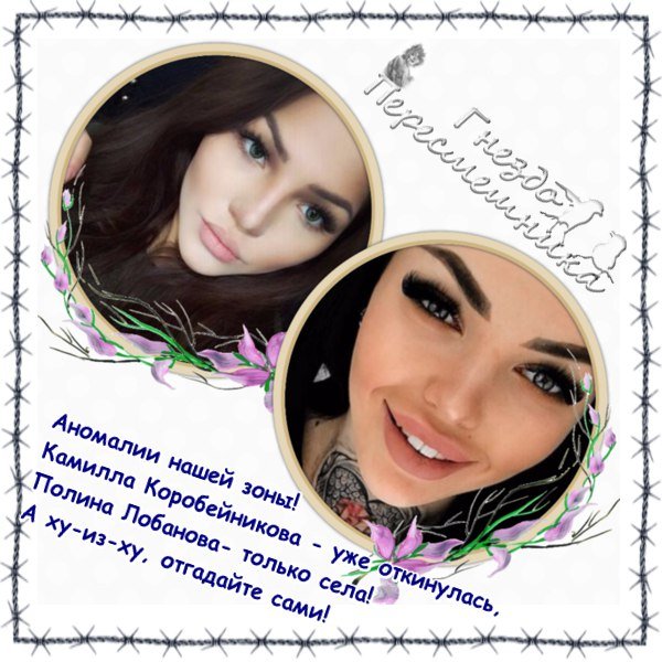 Приколы о Дом-2 (2.11.2017)