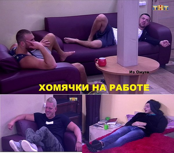 Приколы о Дом-2 (4.11.2017)