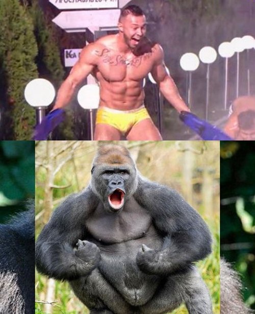 Приколы о Дом-2 (12.11.2017)