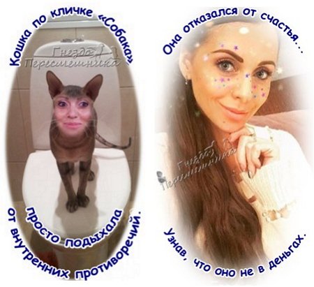 Приколы о Дом-2 (14.11.2017)