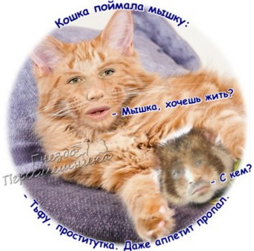 Приколы о Дом-2 (14.11.2017)