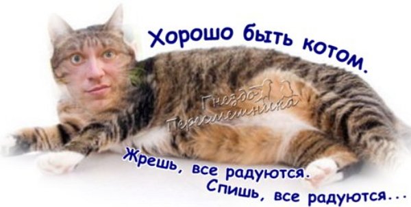 Приколы о Дом-2 (14.11.2017)