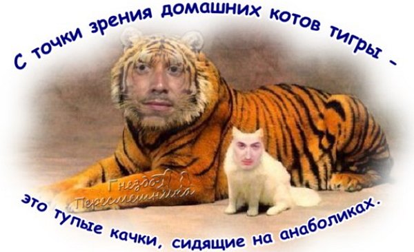 Приколы о Дом-2 (14.11.2017)