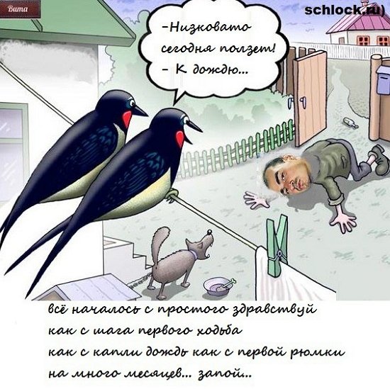 Приколы о Дом-2 (16.11.2017)