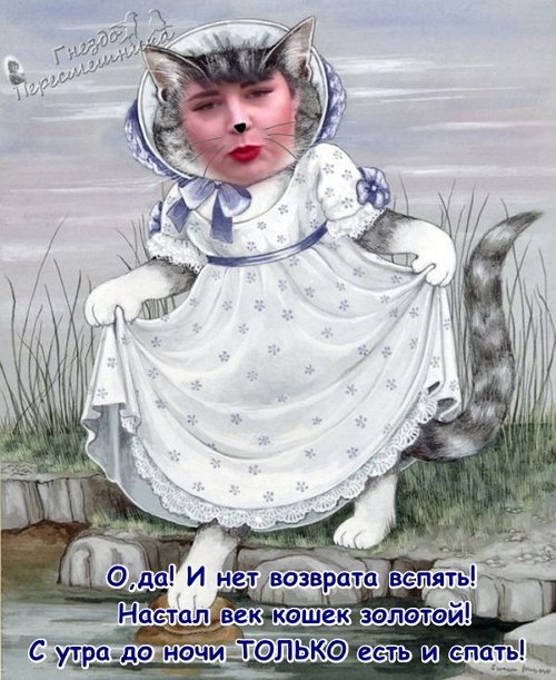 Приколы о Дом-2 (17.11.2017)