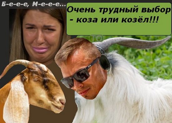  Приколы о Дом-2 (20.11.2017)