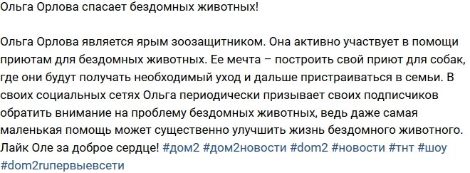 Из блога Редакции: Ольга Орлова спасает бездомных собак!