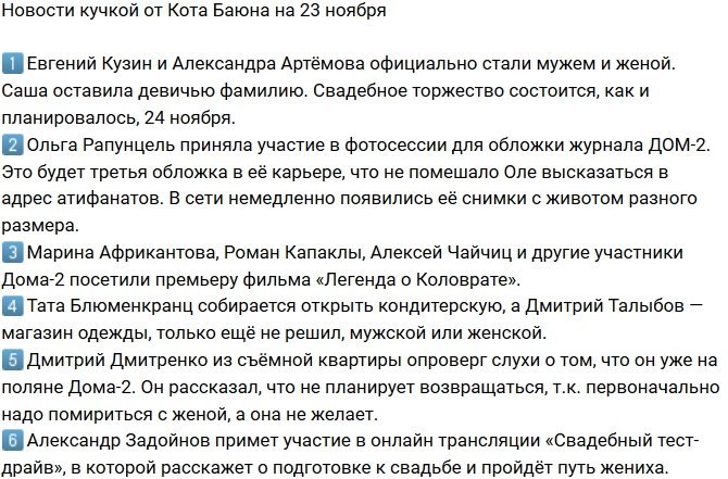 Новости от Кота Баюна (23.11.2017)
