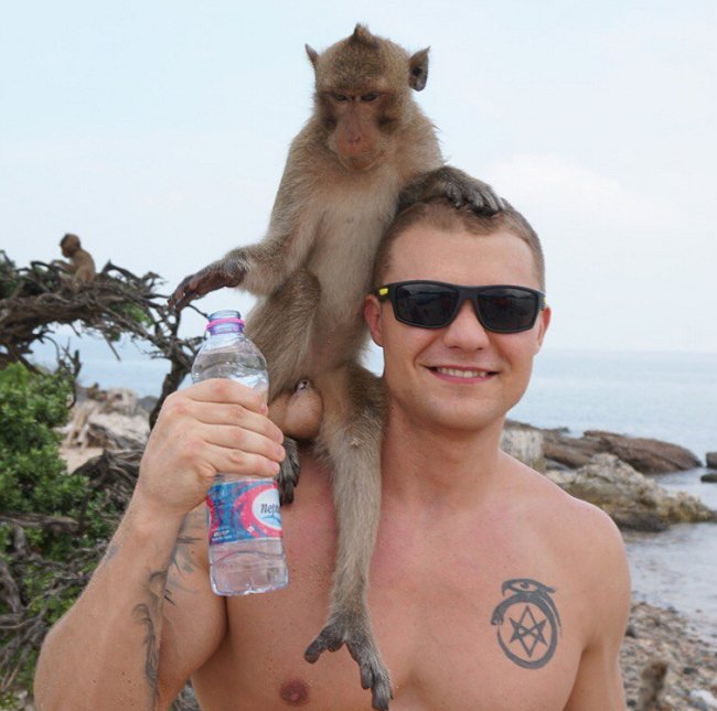 Жизнь после телестройки: Вадим Рыжов