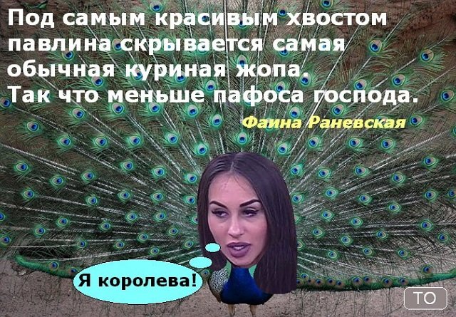 Приколы о Дом-2 (27.11.2017)