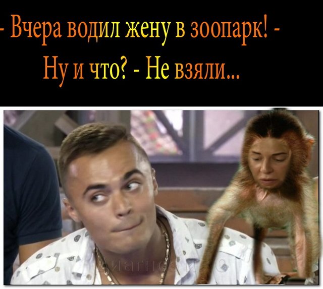 Приколы о Дом-2 (27.11.2017)