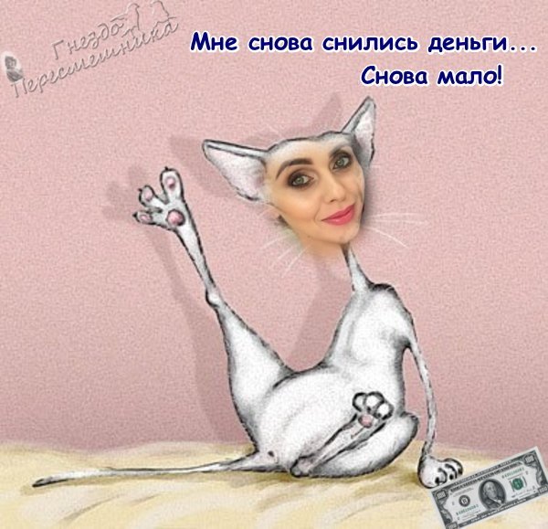  Приколы о Дом-2 (28.11.2017)