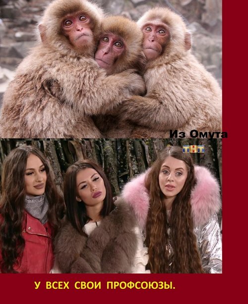  Приколы о Дом-2 (28.11.2017)