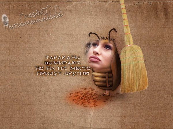 Приколы о Дом-2 (30.11.2017)