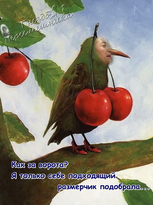 Приколы о Дом-2 (3.12.2017)