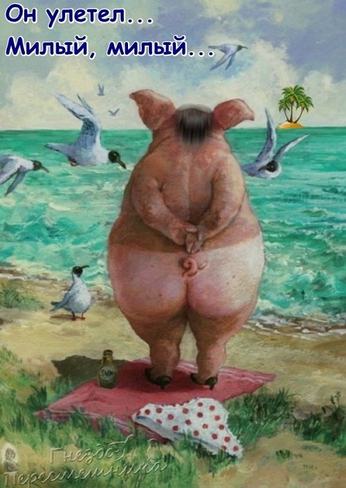 Приколы о Дом-2 (3.12.2017)