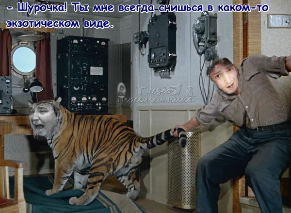 Приколы о Дом-2 (4.12.2017)