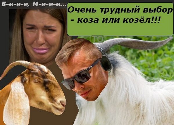 Приколы о Дом-2 (10.12.2017)