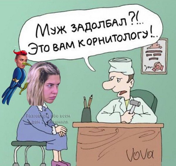 Приколы о Дом-2 (15.12.2017)