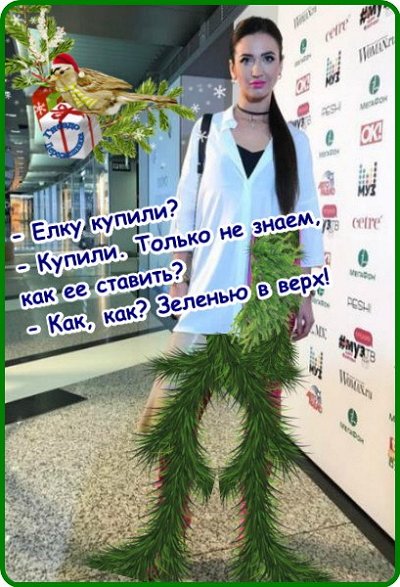 Приколы о Дом-2 (2.01.2018)