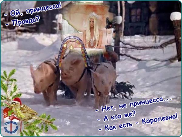 Приколы о Дом-2 (3.01.2018)