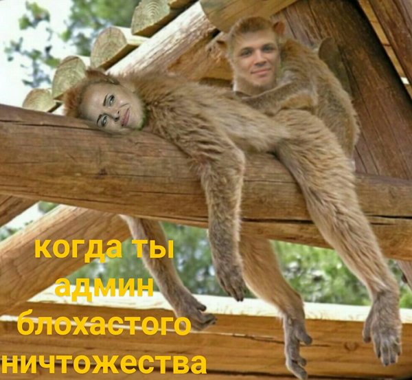 Приколы о Дом-2 (5.01.2018)