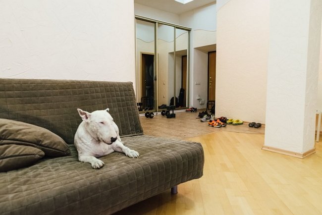 Рустам Калганов провёл экскурсию по своей квартире