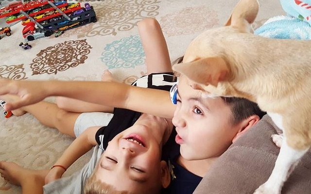 Фотоподборка детей участников (17.01.2018)