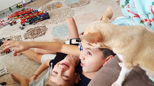 Фотоподборка детей участников (20.01.2018)