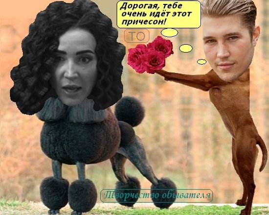 Приколы о Дом-2 (22.01.2018)