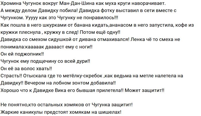 Мнение: Каникулы Йосика и Тоися подошли к концу