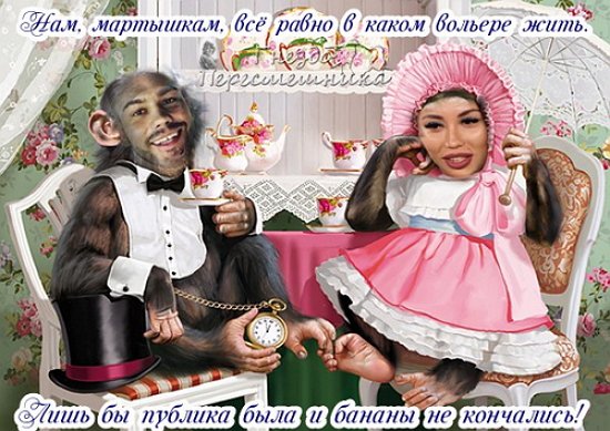 Приколы о Дом-2 (23.01.2018)