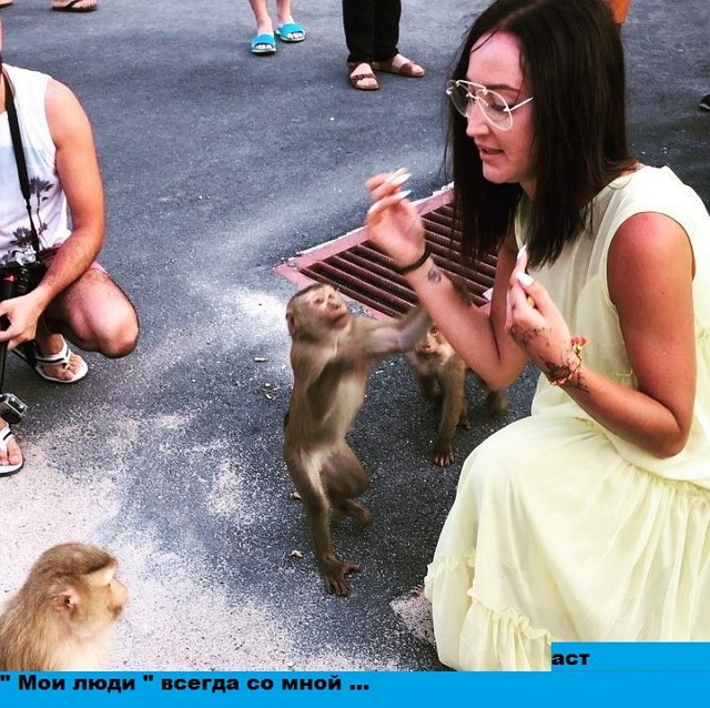 Приколы о Дом-2 (24.01.2018)