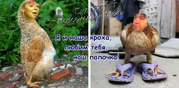 Приколы о Дом-2 (25.01.2018)