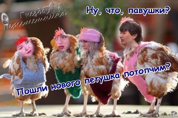 Приколы о Дом-2 (25.01.2018)