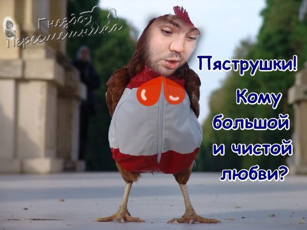 Приколы о Дом-2 (25.01.2018)