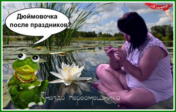 Приколы о Дом-2 (25.01.2018)