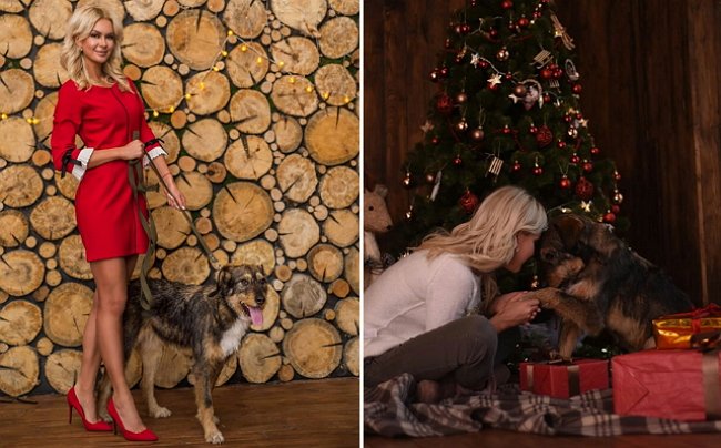 Ольга Орлова и Марина Африкантова пристраивают собак из приюта